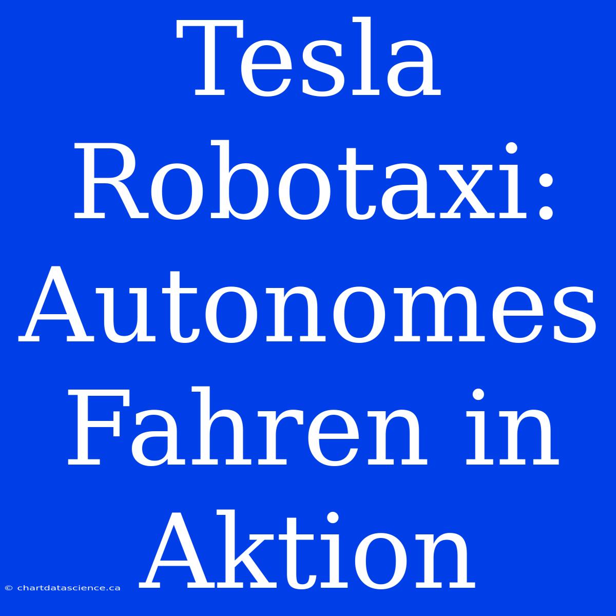 Tesla Robotaxi: Autonomes Fahren In Aktion