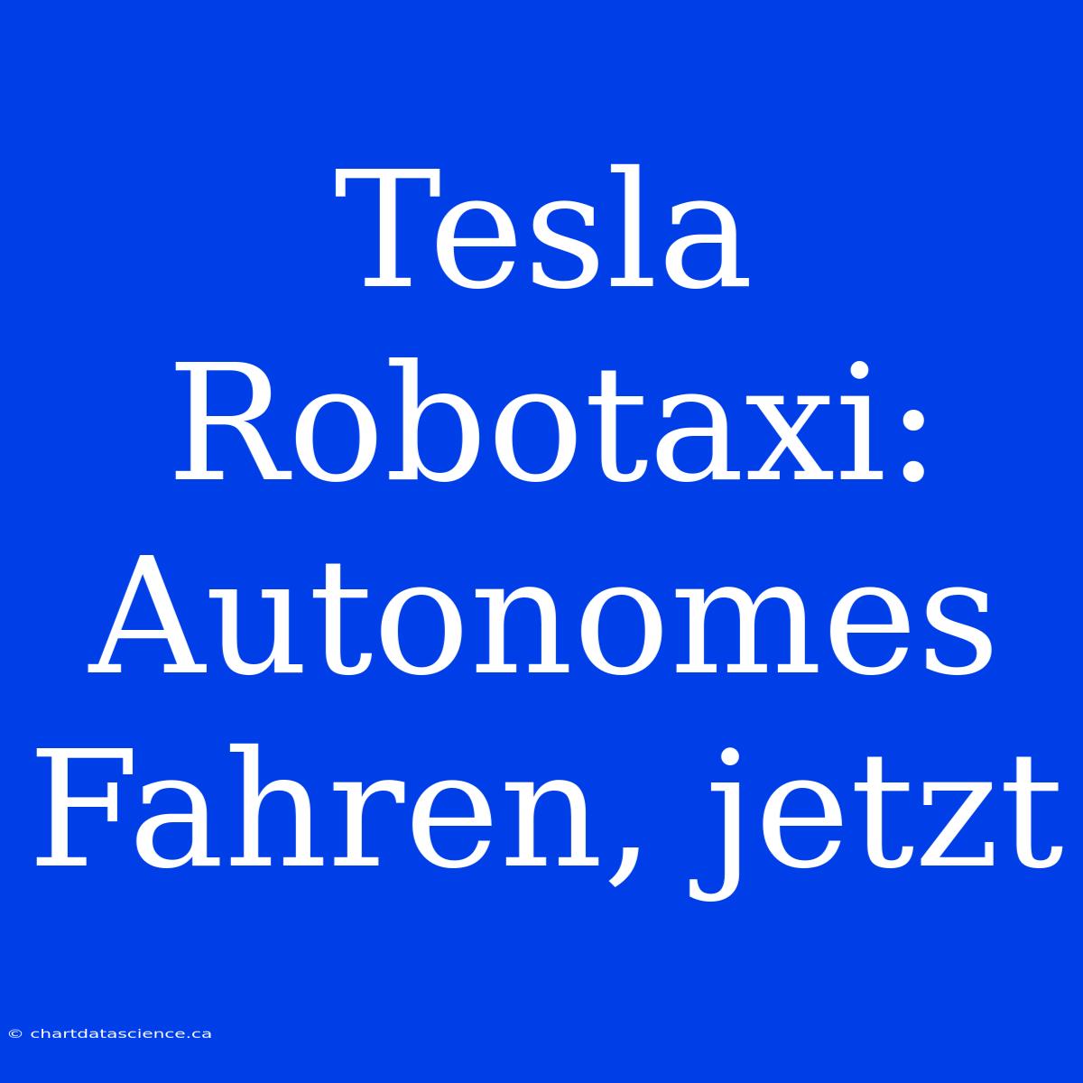 Tesla Robotaxi: Autonomes Fahren, Jetzt