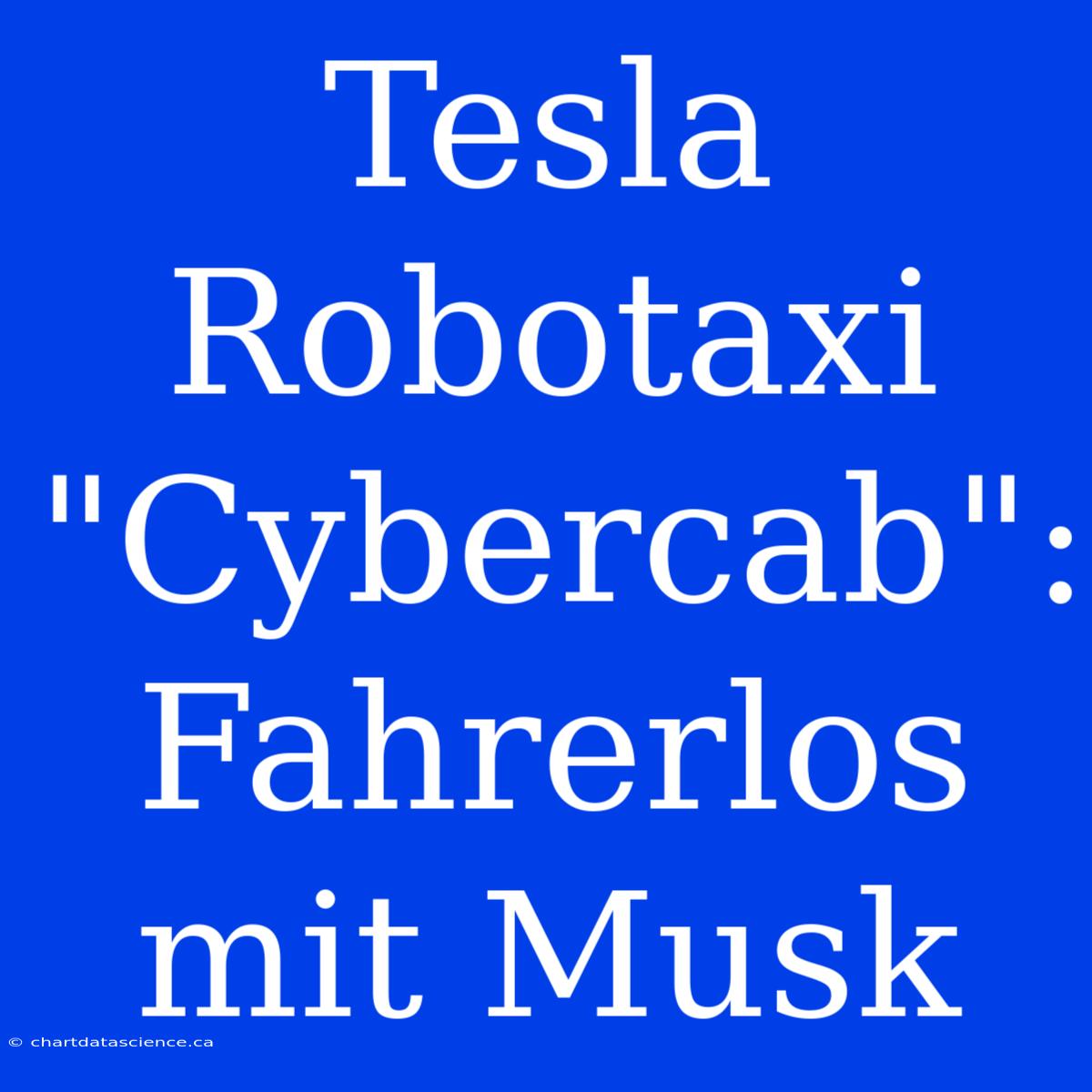 Tesla Robotaxi 