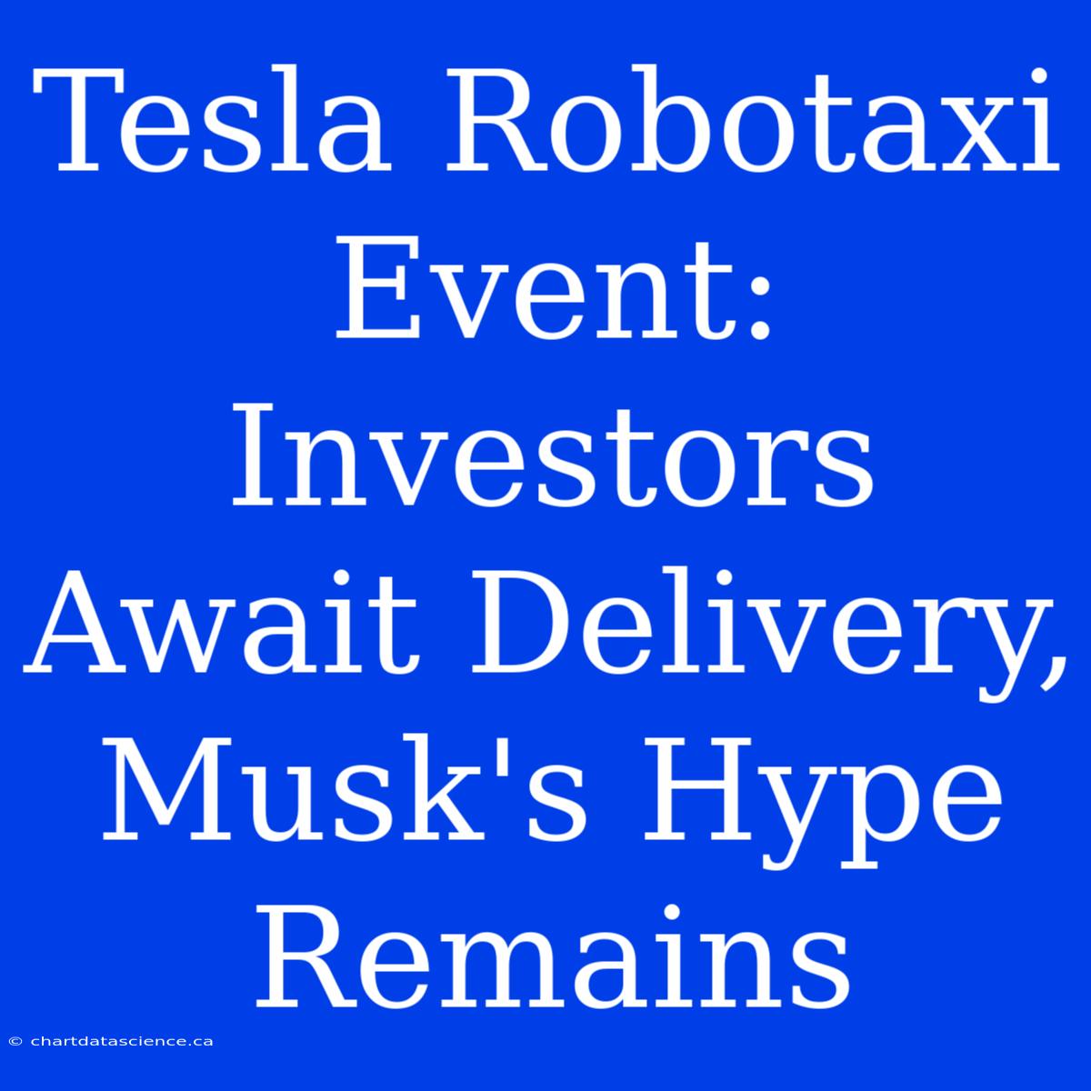 Tesla Robotaxi Event: Investors Await Delivery, Musk's Hype Remains