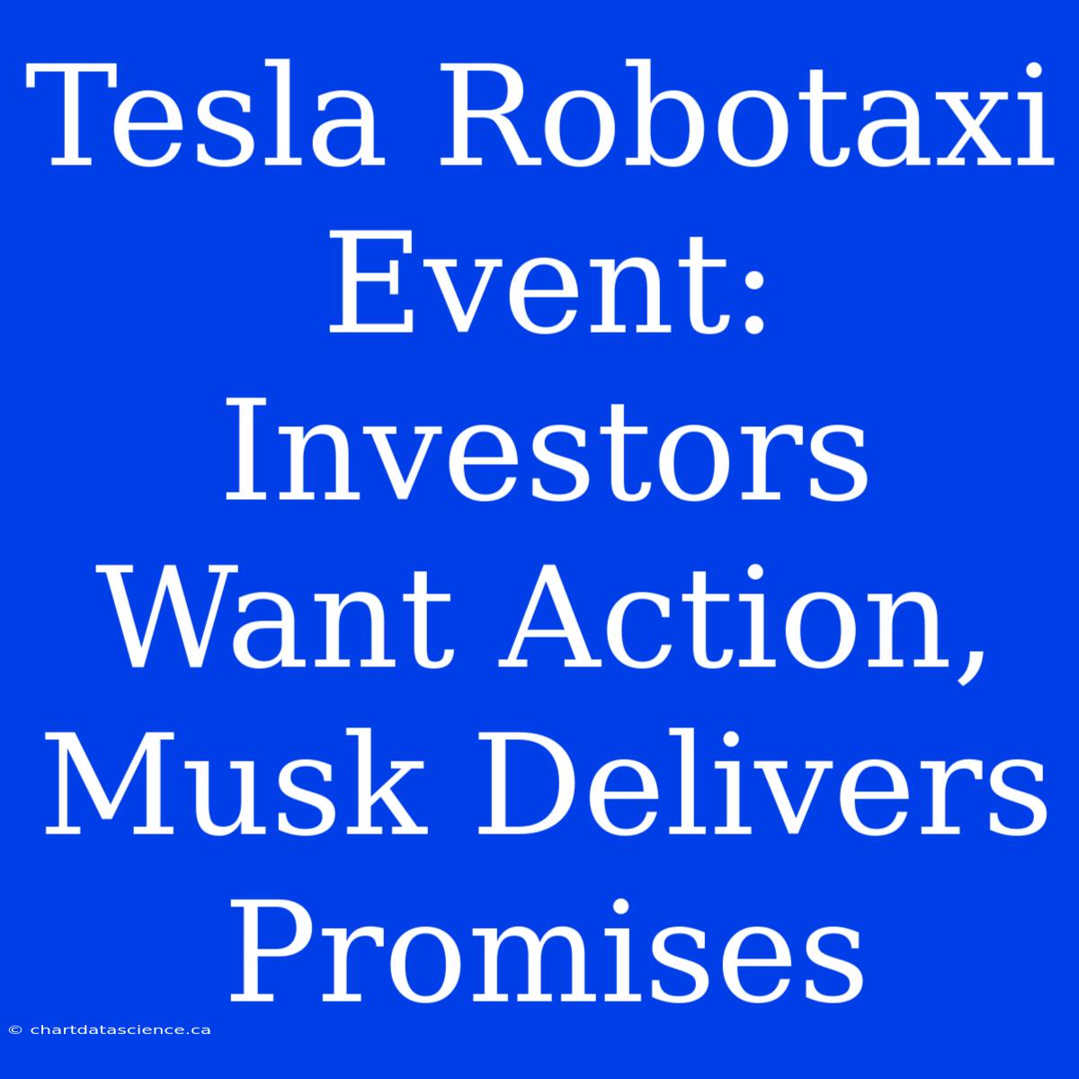 Tesla Robotaxi Event: Investors Want Action, Musk Delivers Promises