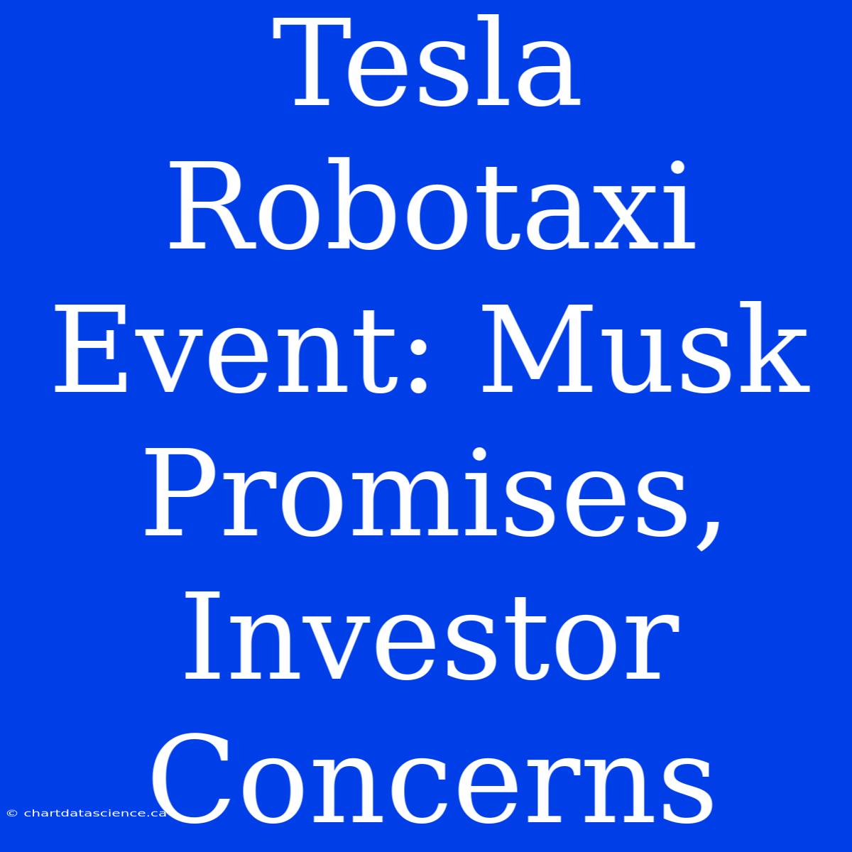 Tesla Robotaxi Event: Musk Promises, Investor Concerns