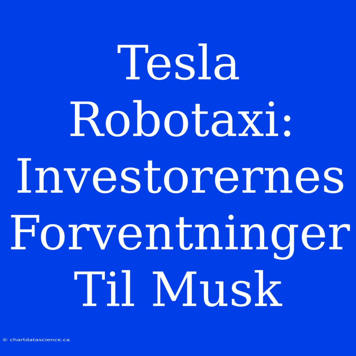 Tesla Robotaxi: Investorernes Forventninger Til Musk