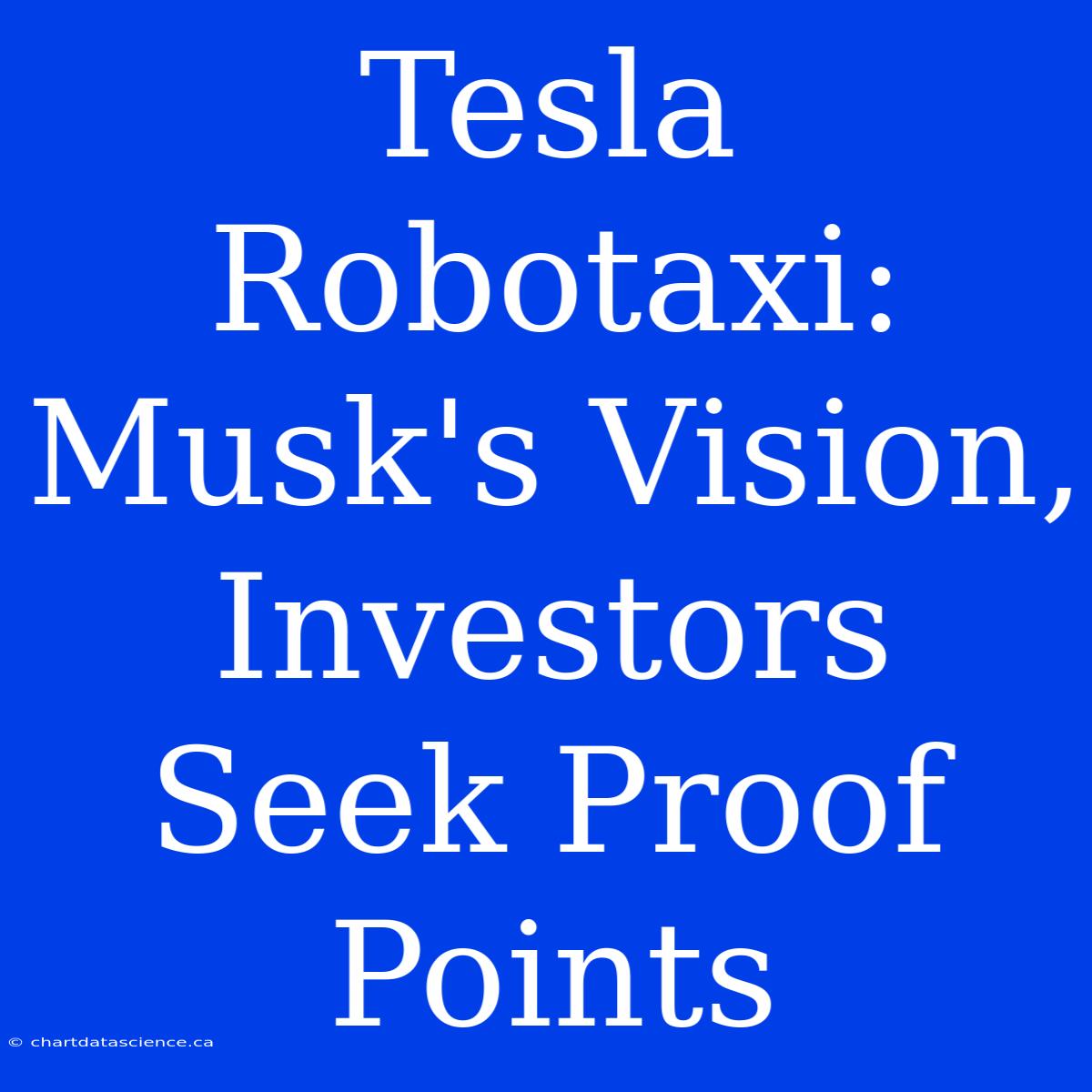 Tesla Robotaxi: Musk's Vision, Investors Seek Proof Points