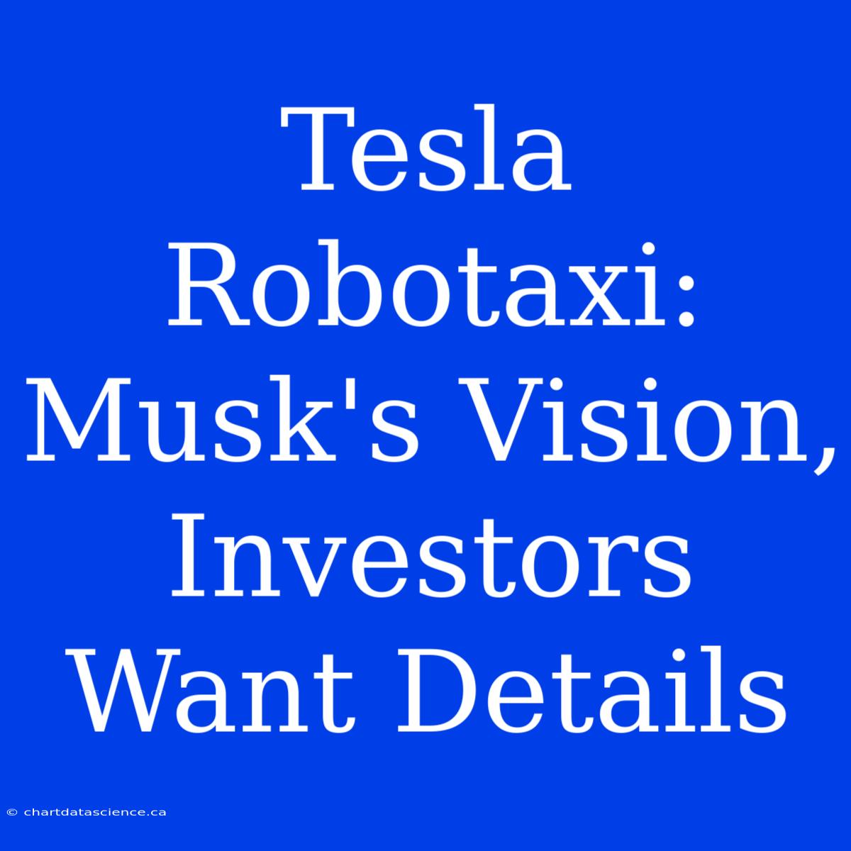 Tesla Robotaxi: Musk's Vision, Investors Want Details