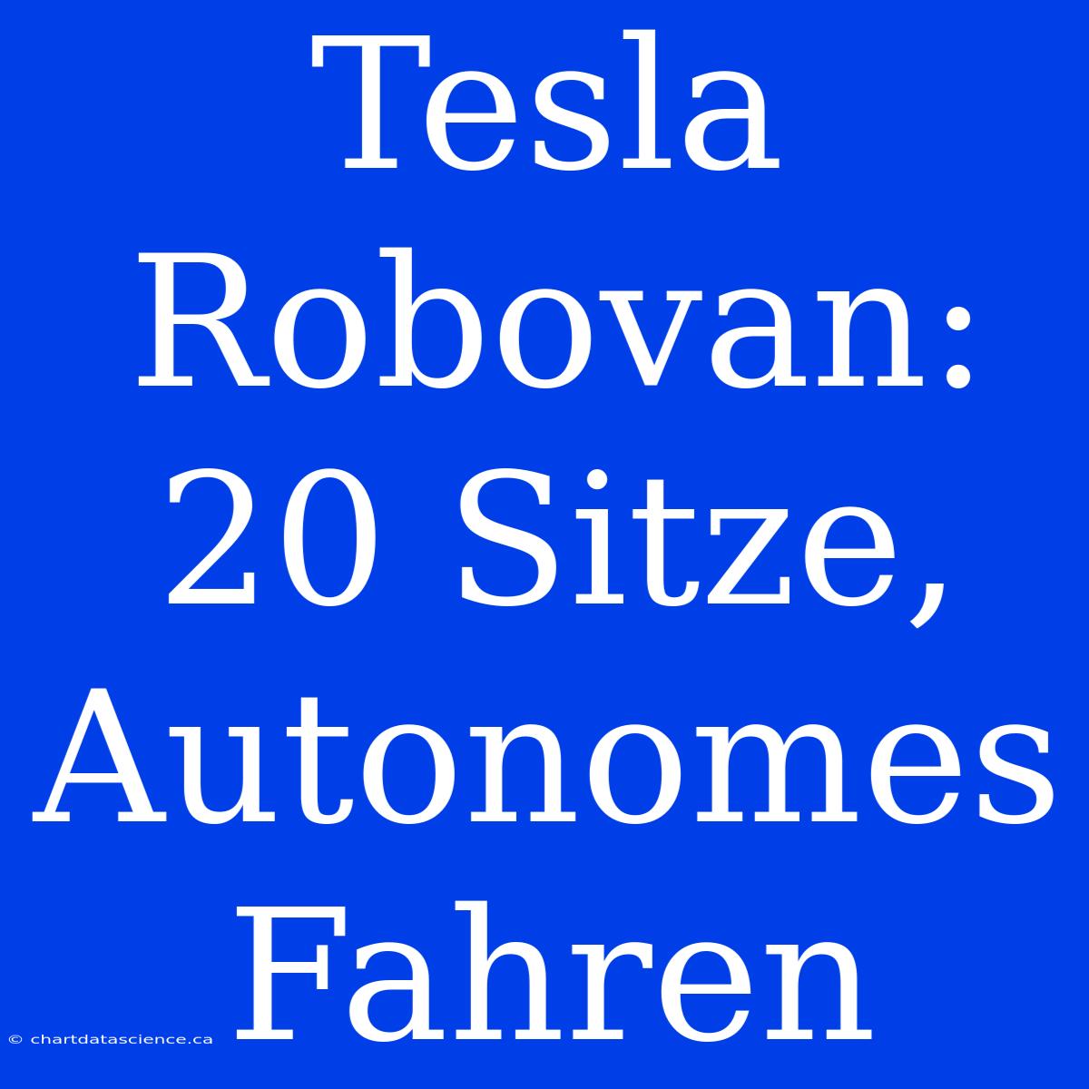 Tesla Robovan: 20 Sitze, Autonomes Fahren