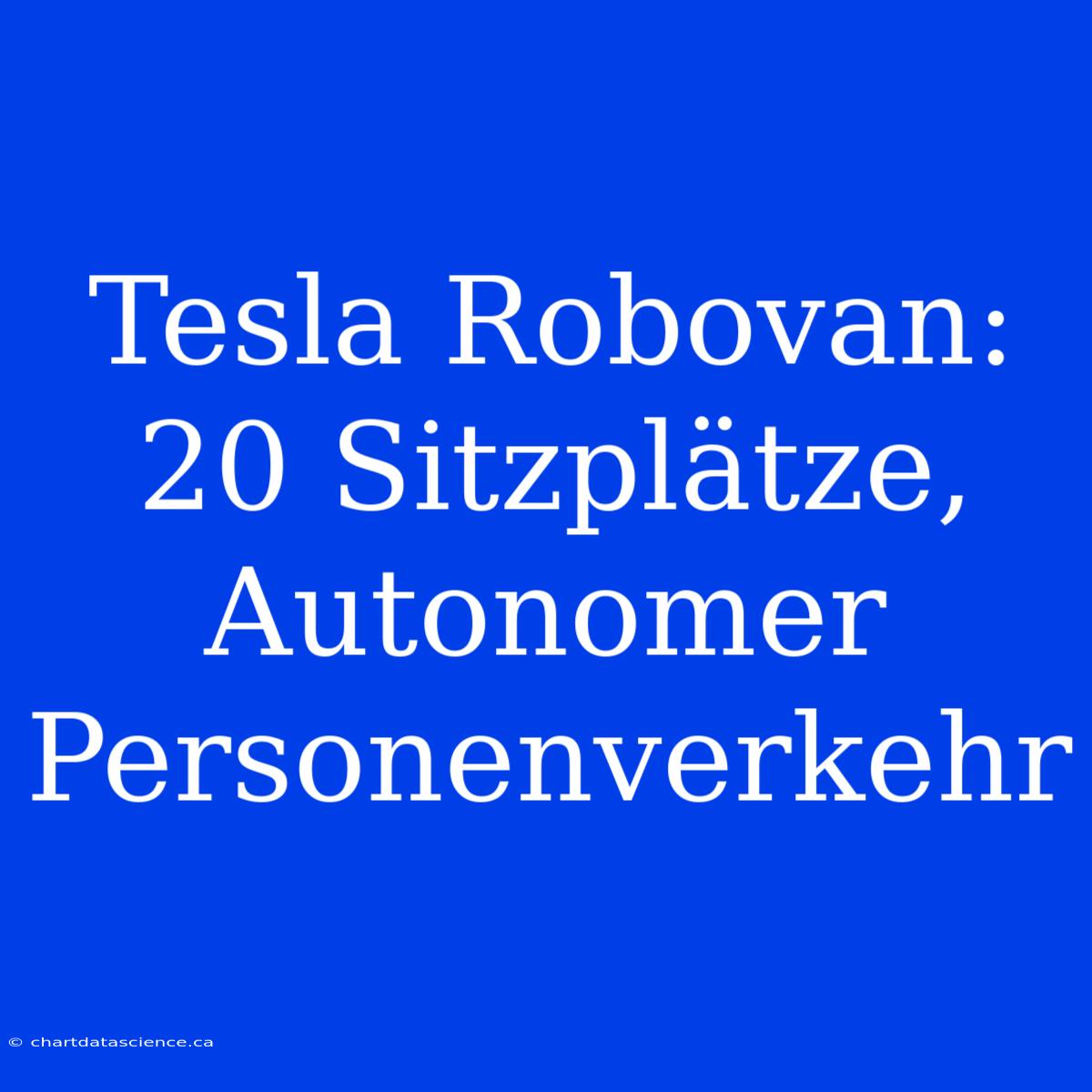 Tesla Robovan: 20 Sitzplätze, Autonomer Personenverkehr