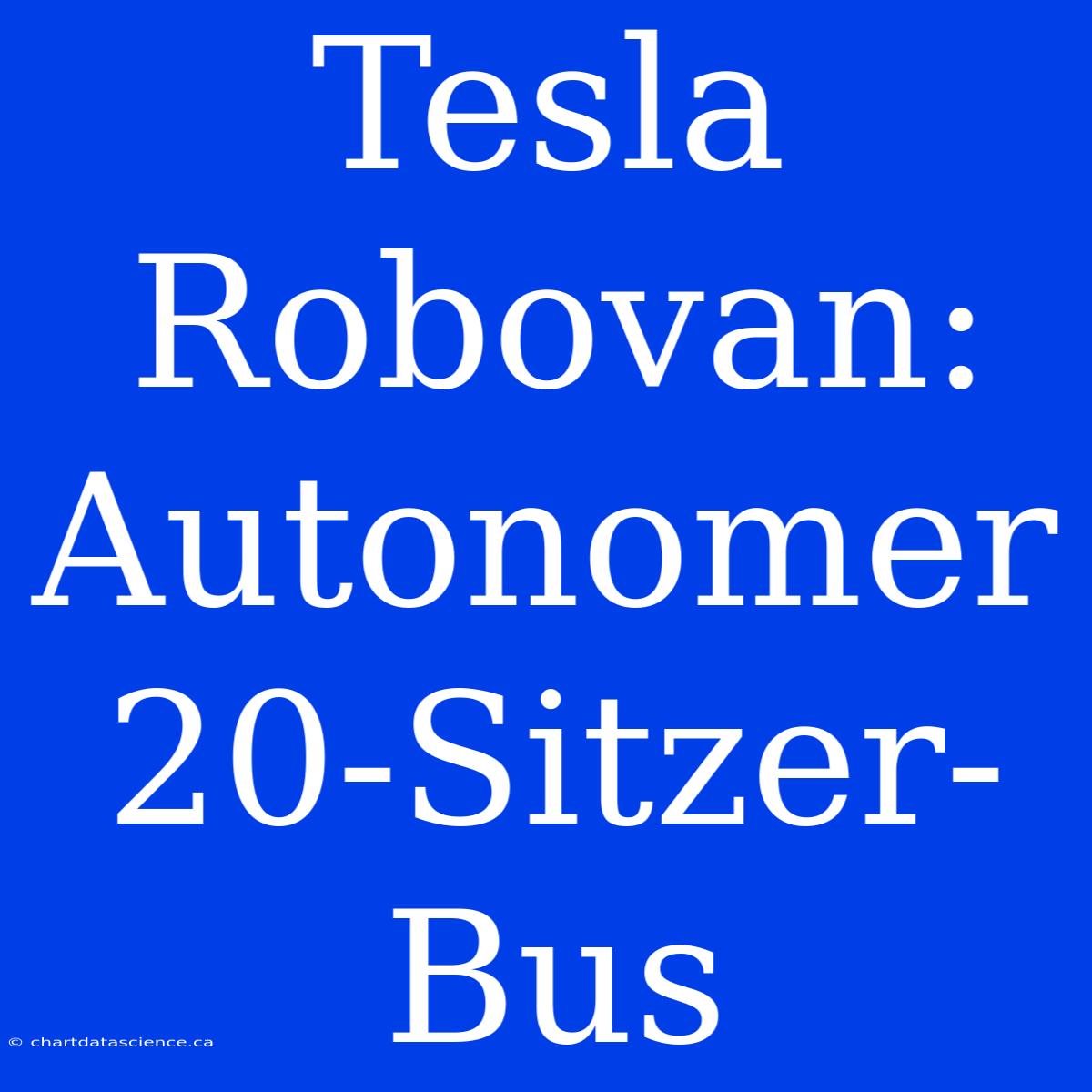 Tesla Robovan: Autonomer 20-Sitzer-Bus