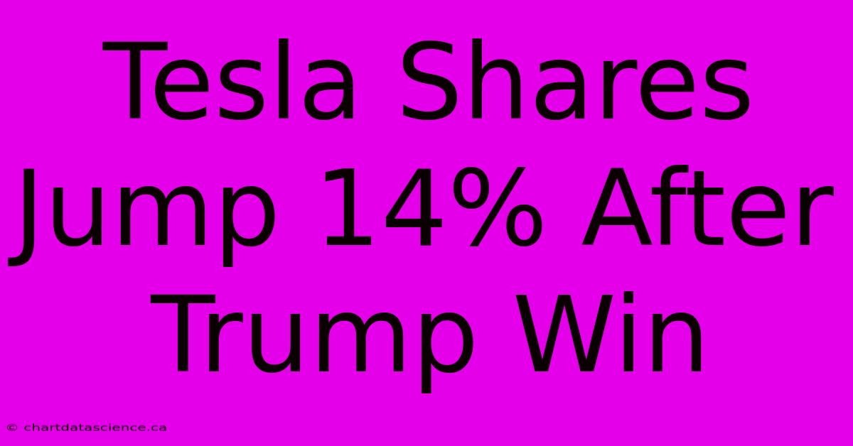 Tesla Shares Jump 14% After Trump Win 