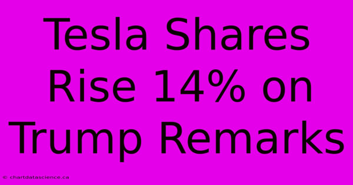 Tesla Shares Rise 14% On Trump Remarks 