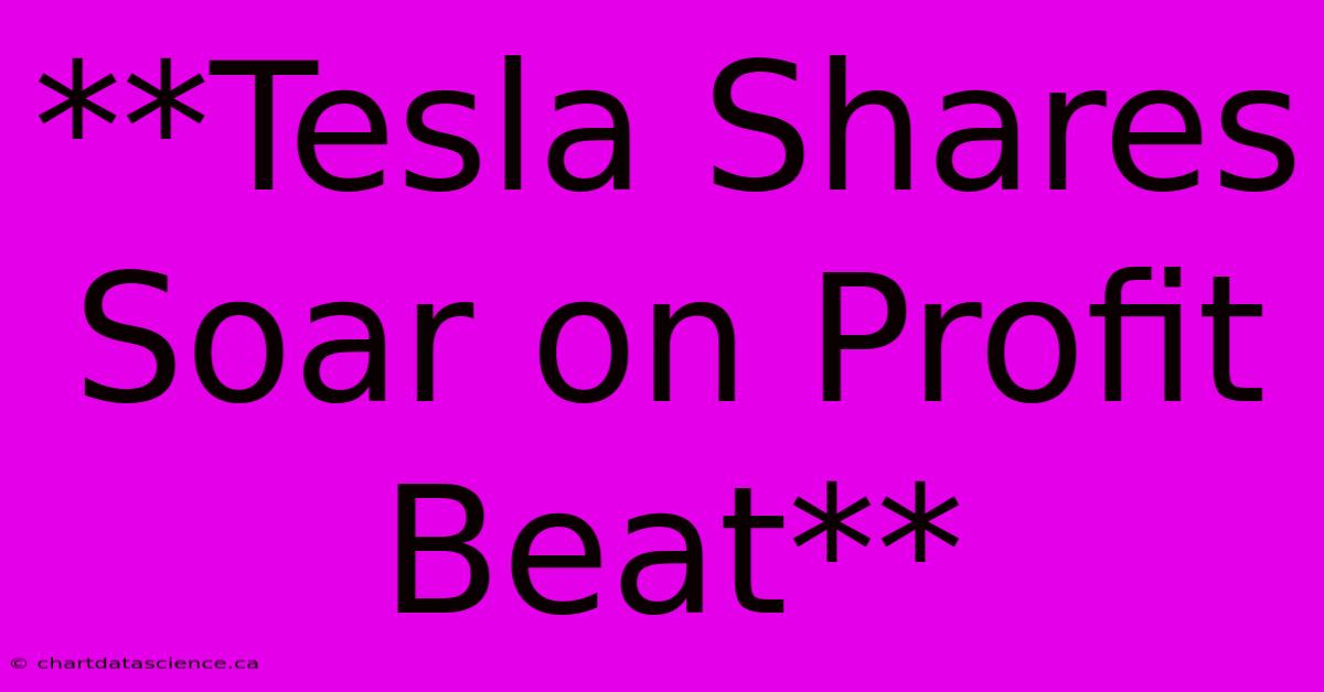 **Tesla Shares Soar On Profit Beat** 