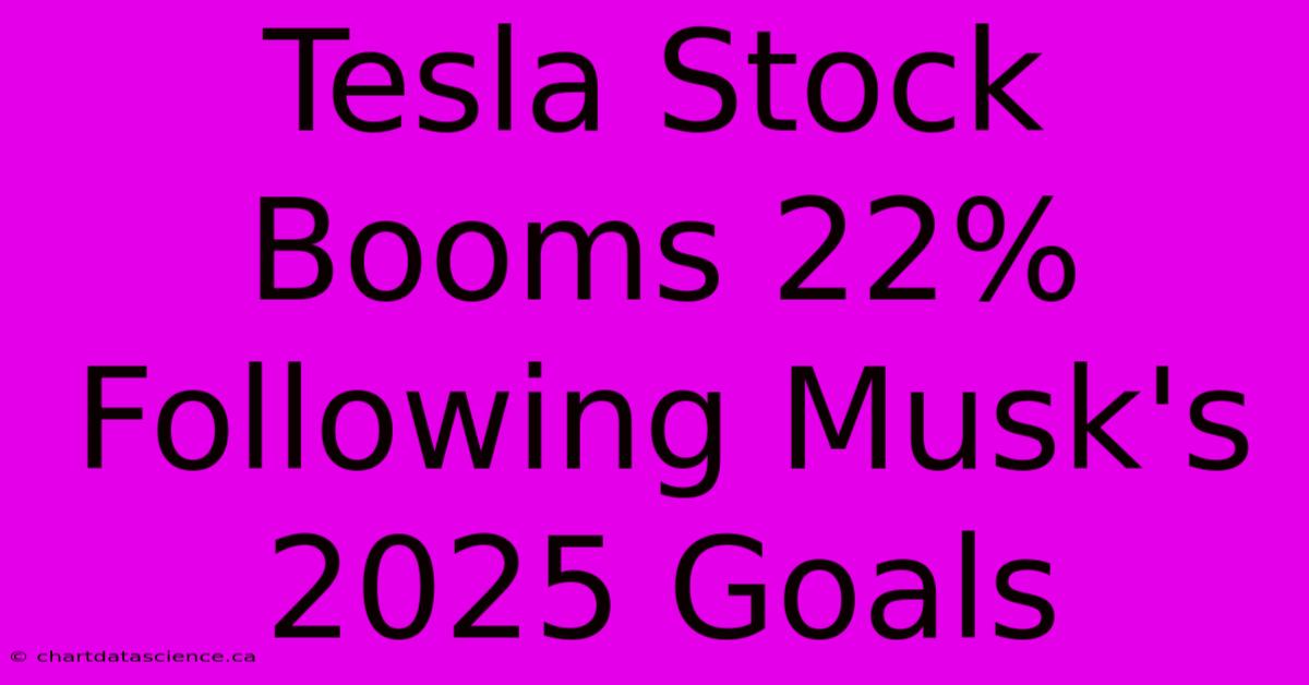 Tesla Stock Booms 22% Following Musk's 2025 Goals 