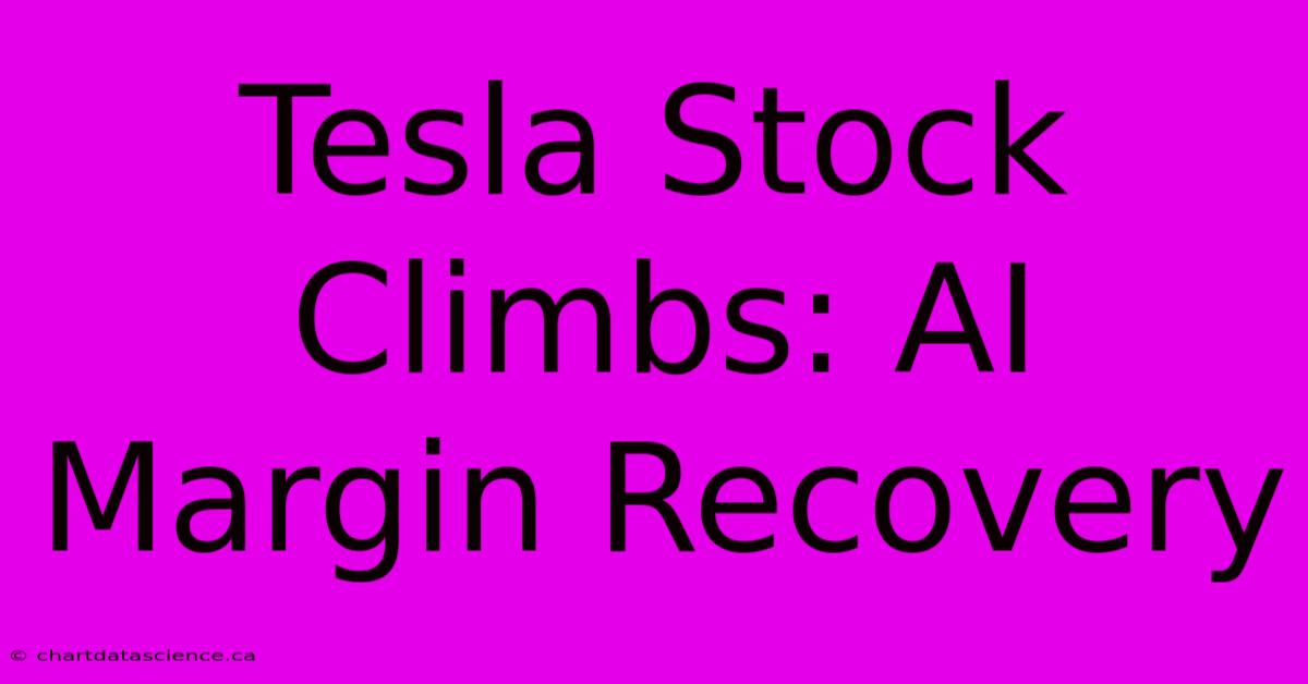 Tesla Stock Climbs: AI Margin Recovery 