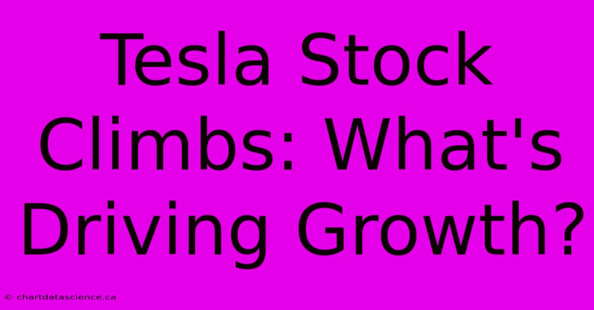 Tesla Stock Climbs: What's Driving Growth?