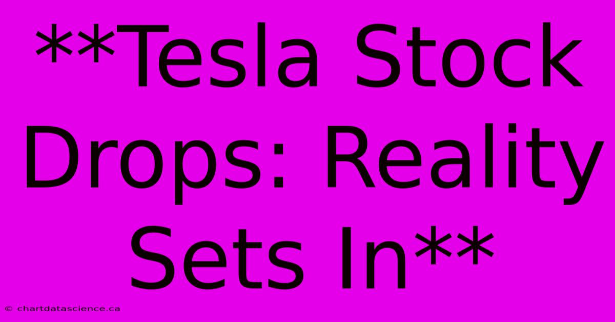 **Tesla Stock Drops: Reality Sets In**