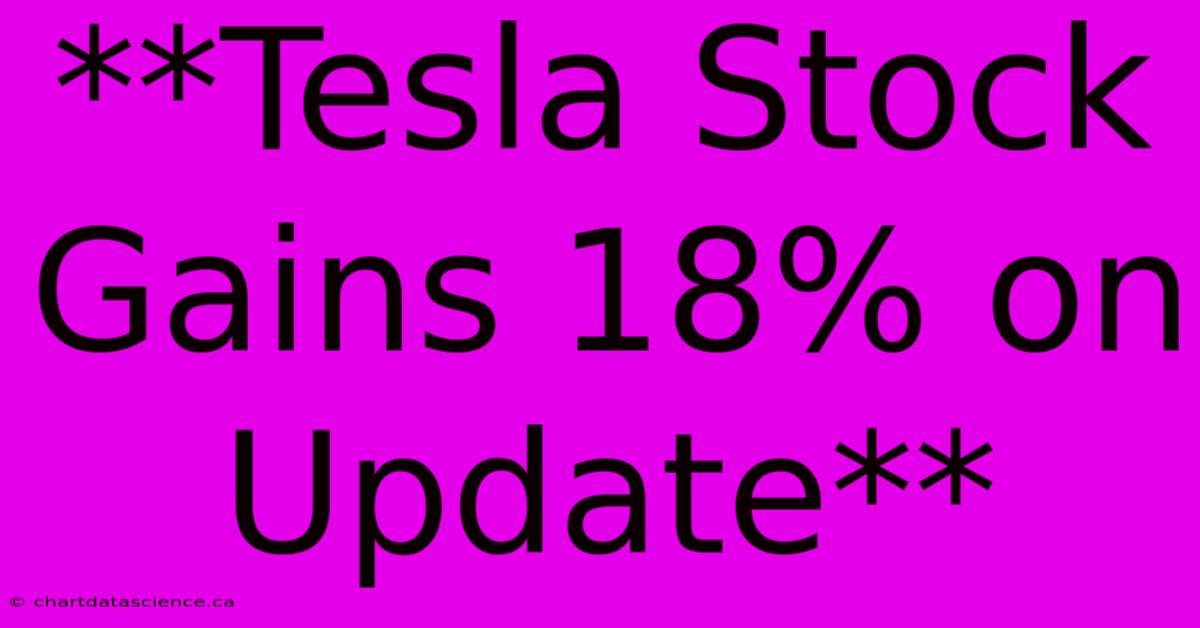 **Tesla Stock Gains 18% On Update**