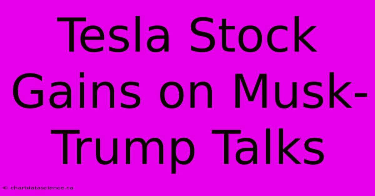 Tesla Stock Gains On Musk-Trump Talks