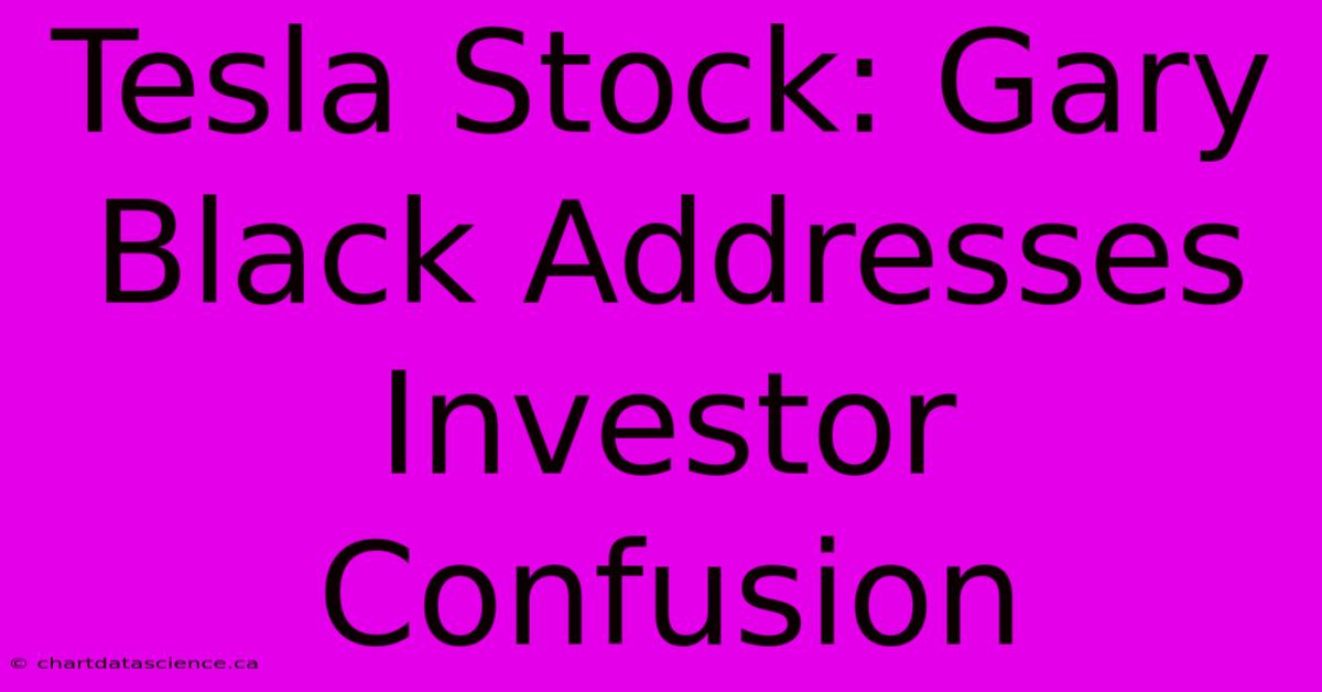 Tesla Stock: Gary Black Addresses Investor Confusion