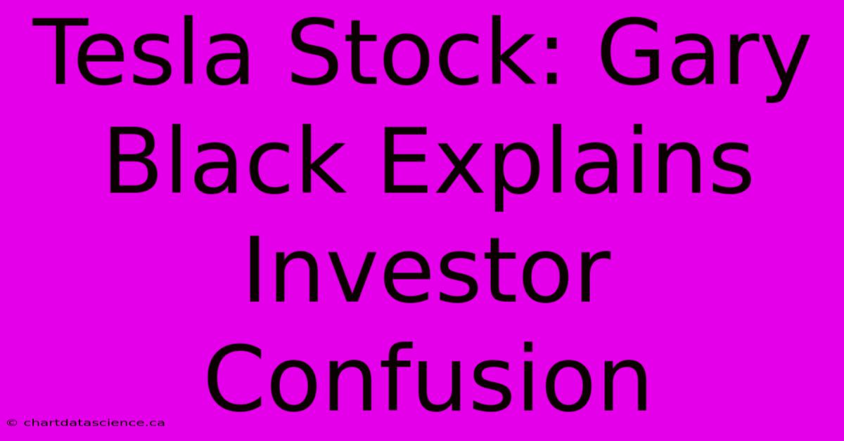 Tesla Stock: Gary Black Explains Investor Confusion