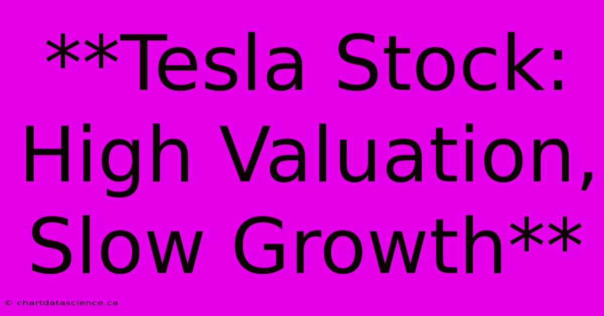 **Tesla Stock:  High Valuation, Slow Growth**