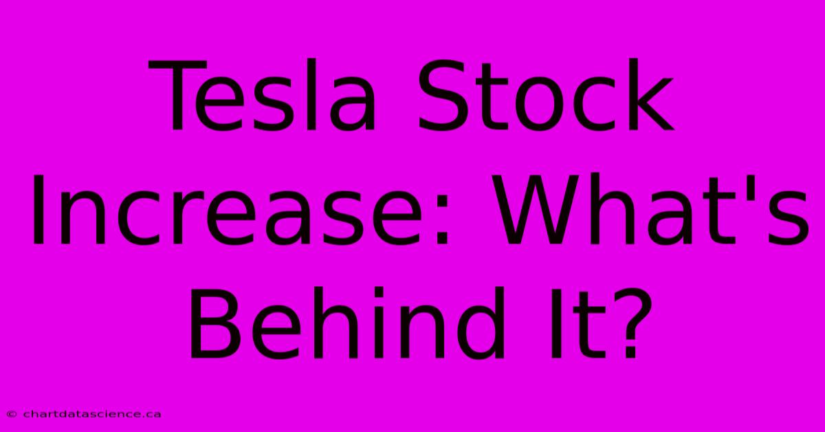 Tesla Stock Increase: What's Behind It? 