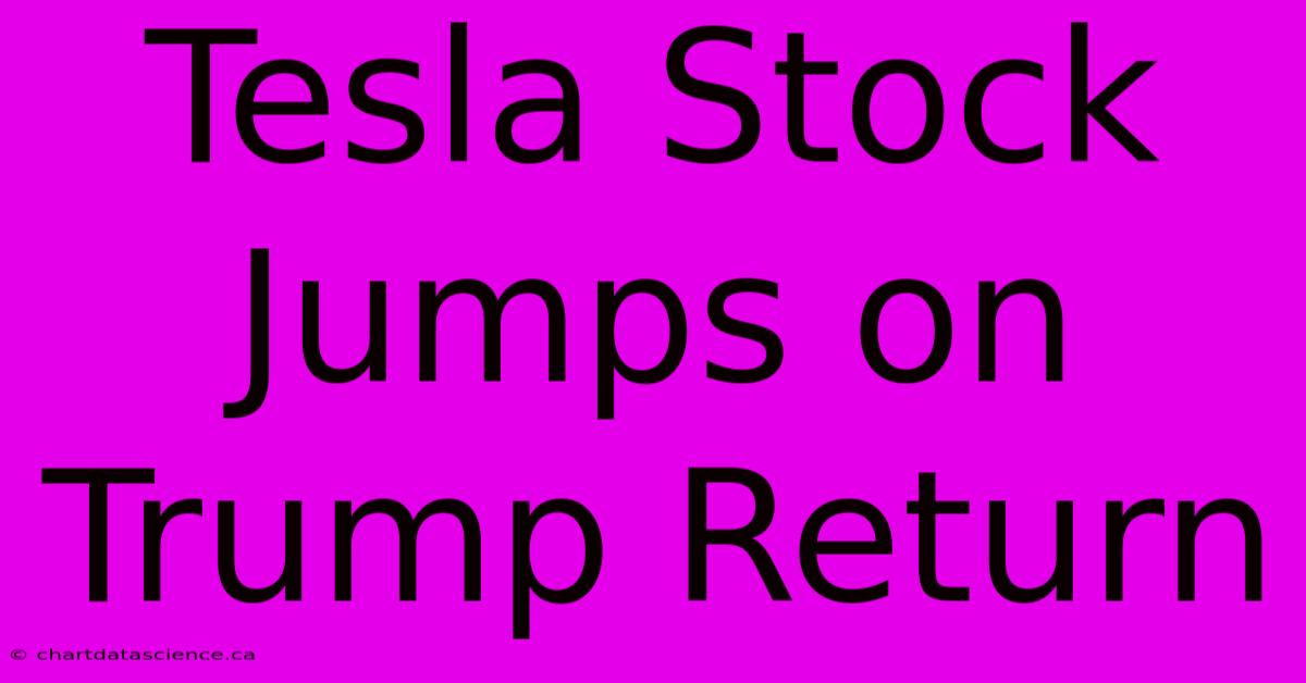 Tesla Stock Jumps On Trump Return