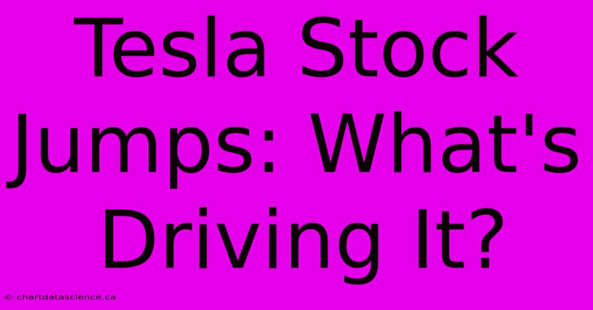 Tesla Stock Jumps: What's Driving It?