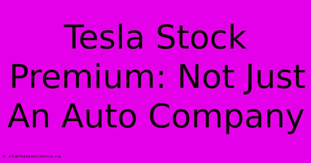 Tesla Stock Premium: Not Just An Auto Company