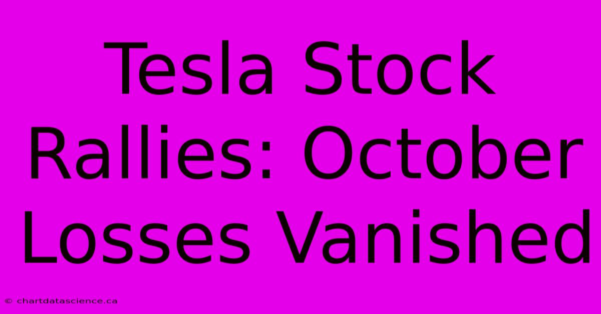 Tesla Stock Rallies: October Losses Vanished