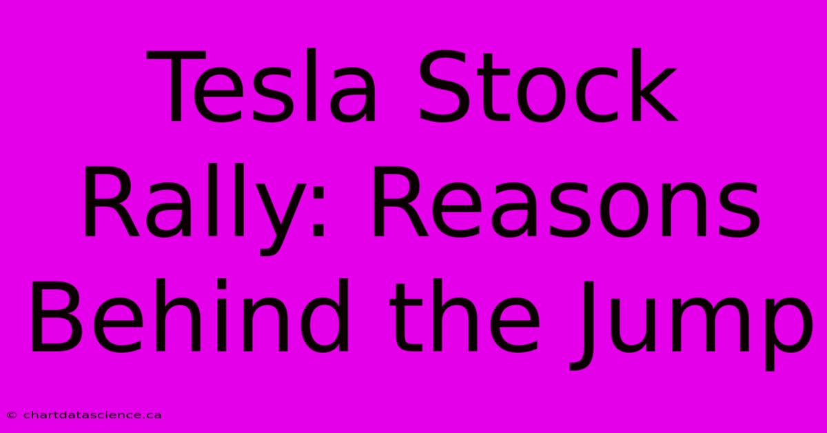 Tesla Stock Rally: Reasons Behind The Jump