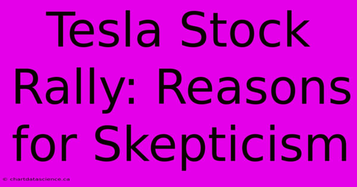 Tesla Stock Rally: Reasons For Skepticism 