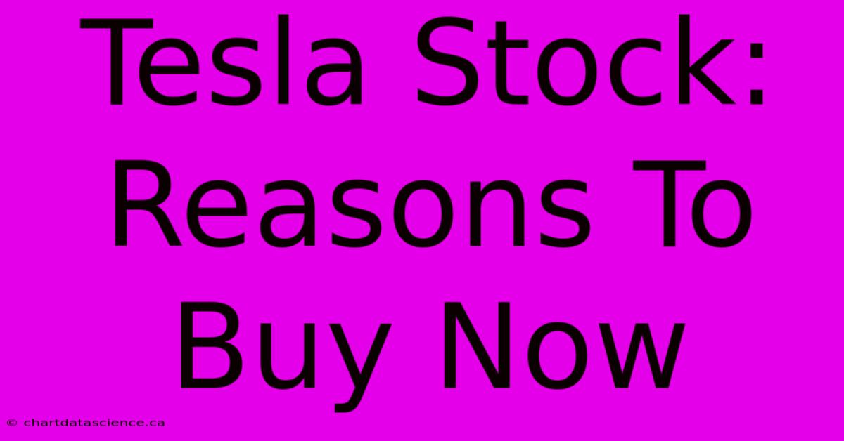 Tesla Stock: Reasons To Buy Now