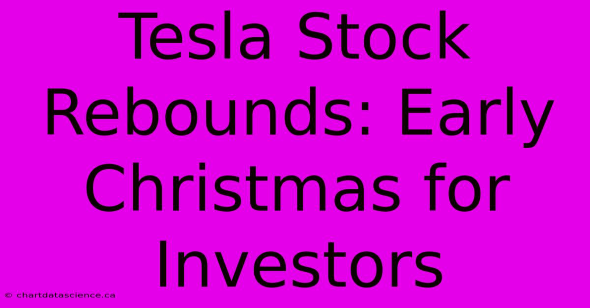 Tesla Stock Rebounds: Early Christmas For Investors