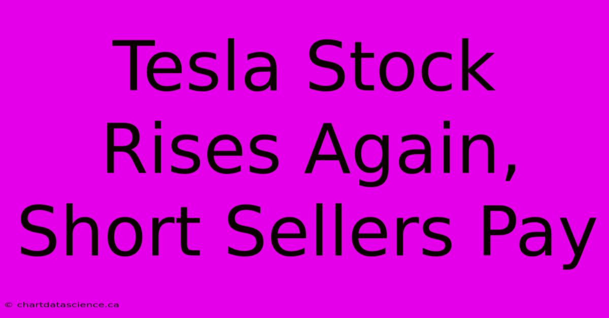 Tesla Stock Rises Again, Short Sellers Pay