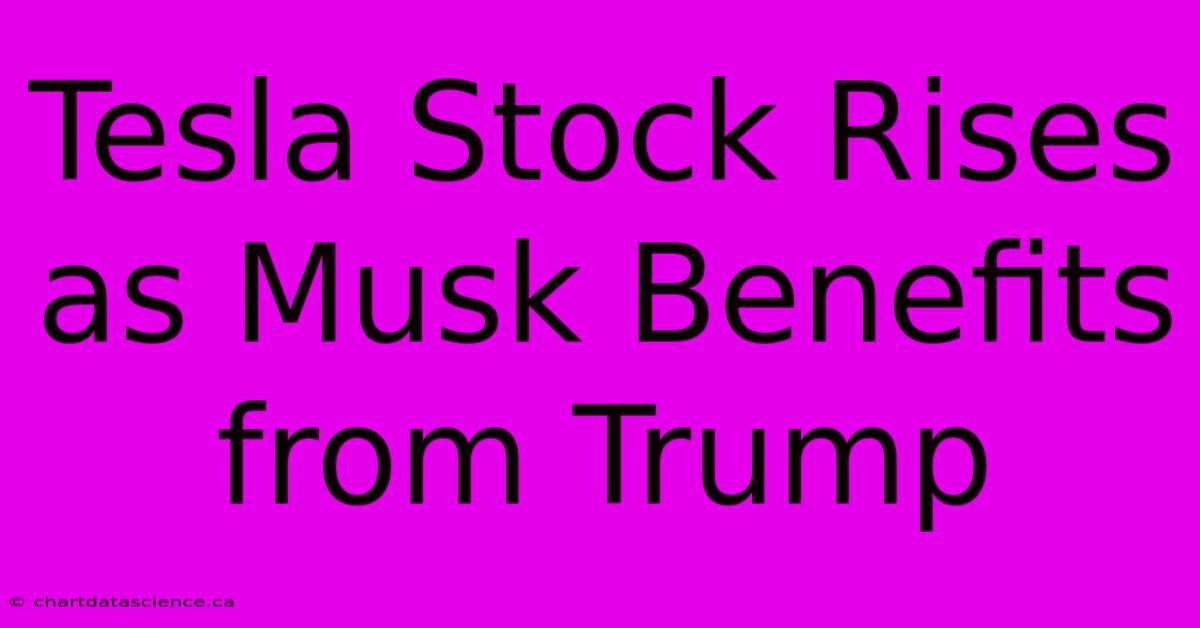 Tesla Stock Rises As Musk Benefits From Trump