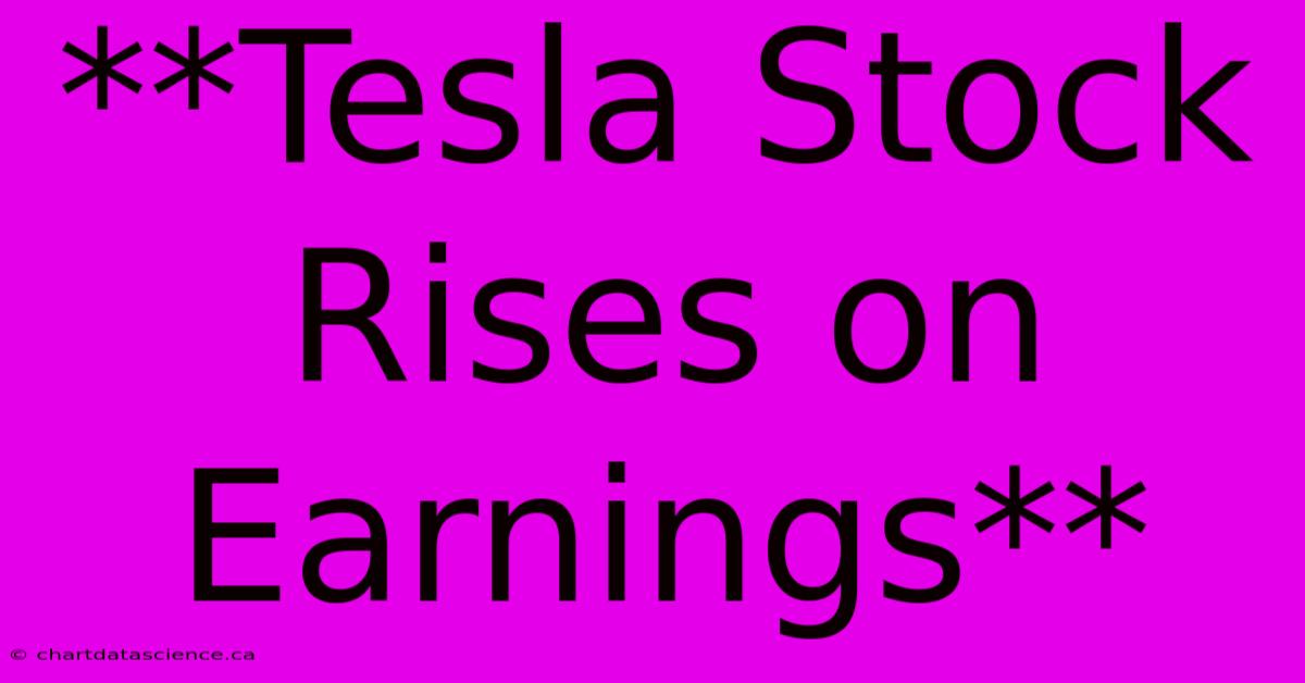 **Tesla Stock Rises On Earnings** 