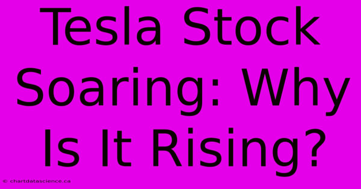 Tesla Stock Soaring: Why Is It Rising?