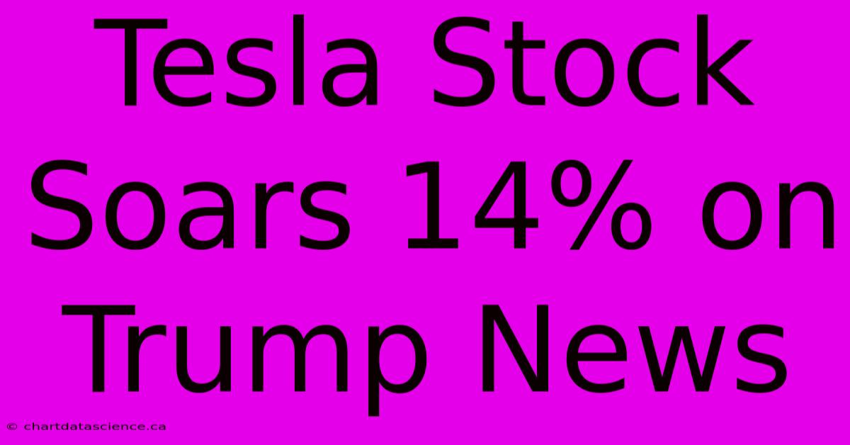 Tesla Stock Soars 14% On Trump News