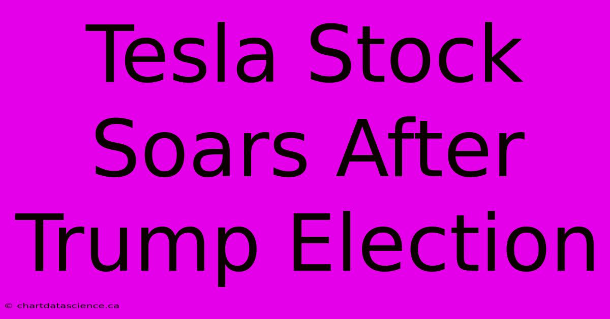 Tesla Stock Soars After Trump Election