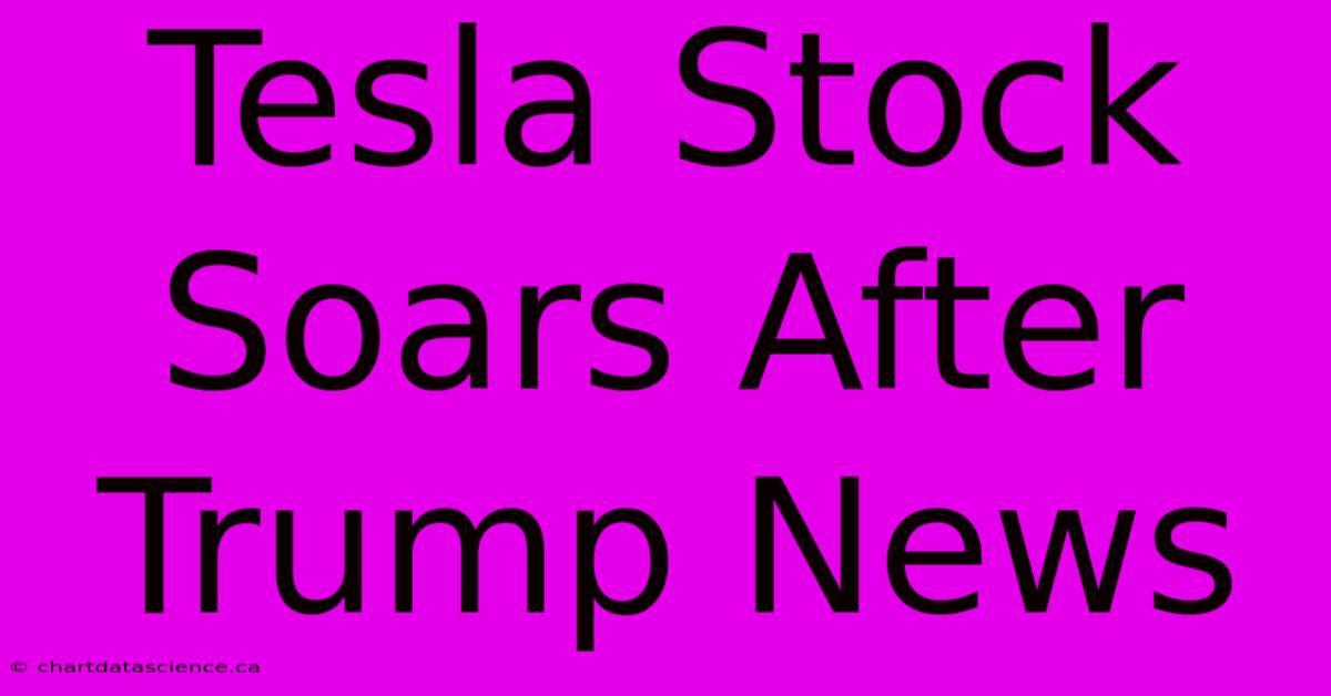 Tesla Stock Soars After Trump News