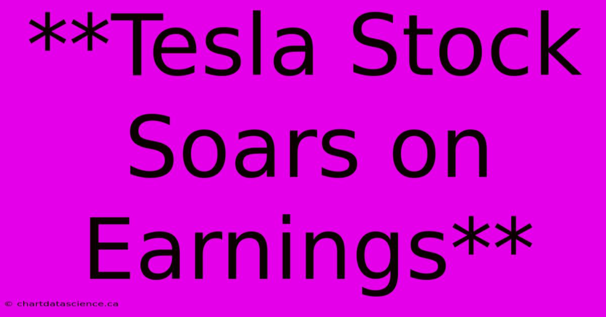 **Tesla Stock Soars On Earnings** 