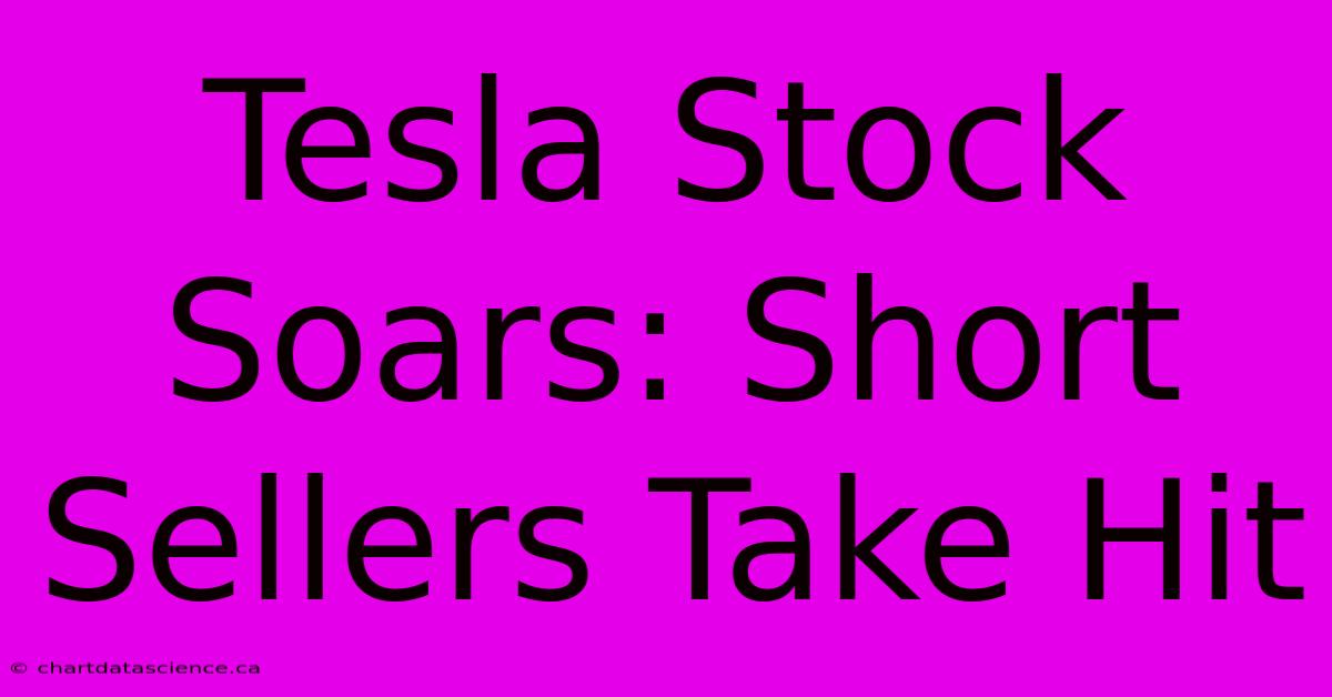 Tesla Stock Soars: Short Sellers Take Hit