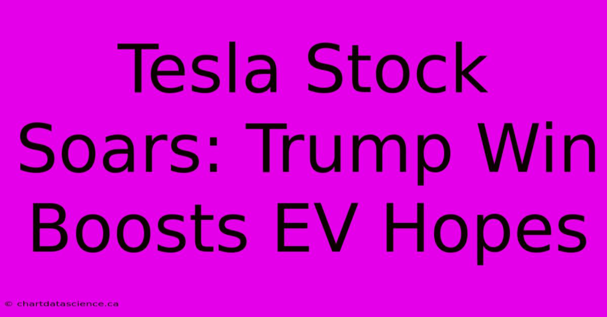 Tesla Stock Soars: Trump Win Boosts EV Hopes