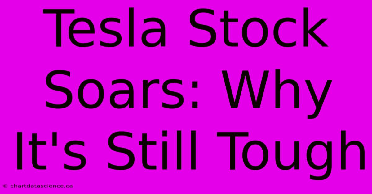 Tesla Stock Soars: Why It's Still Tough