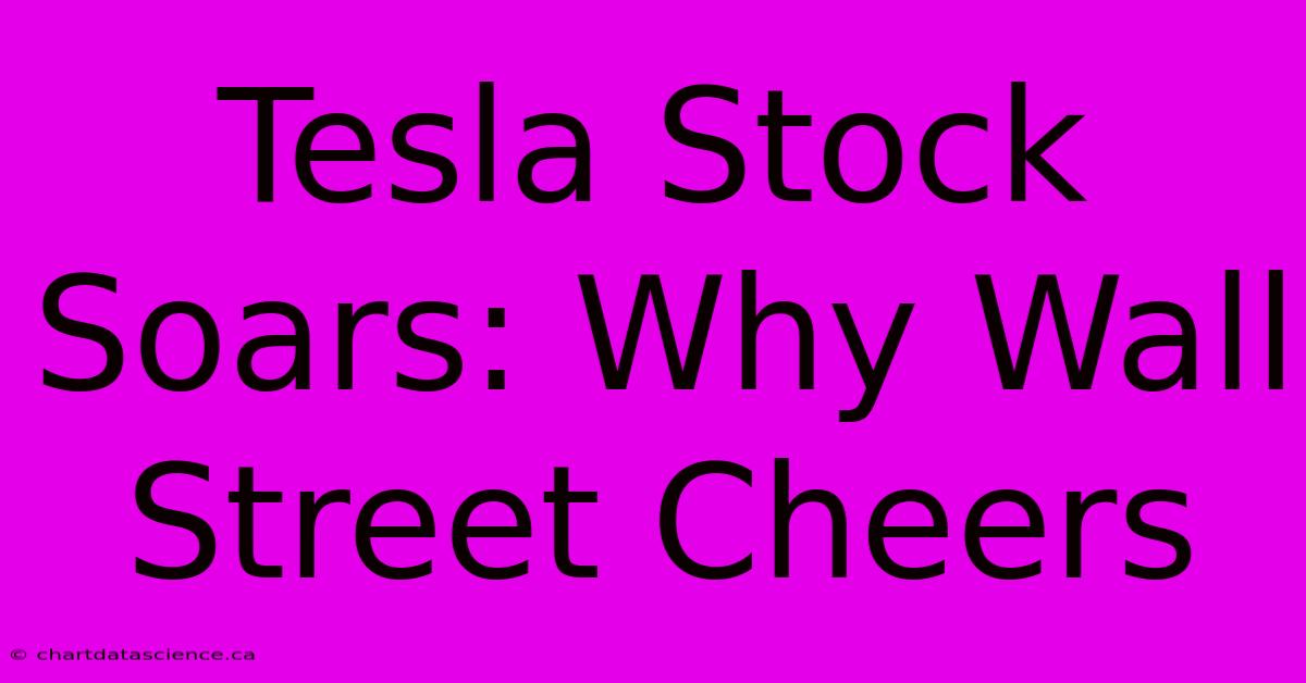 Tesla Stock Soars: Why Wall Street Cheers