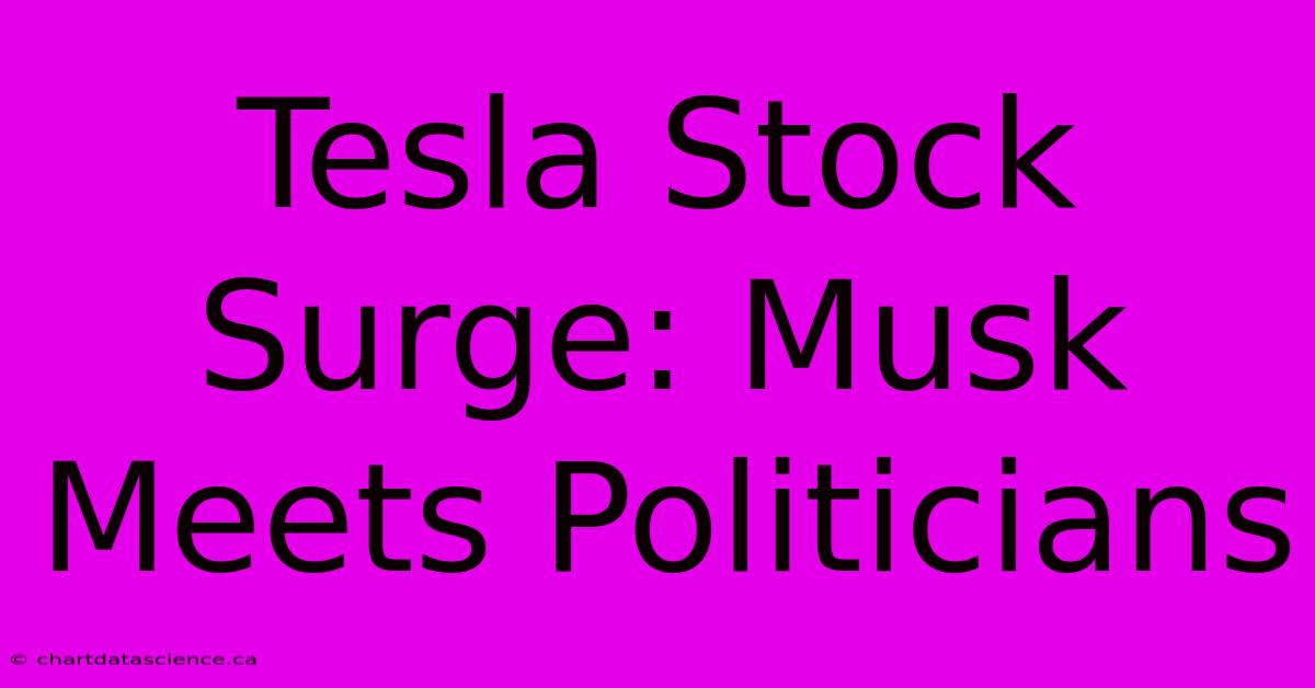 Tesla Stock Surge: Musk Meets Politicians