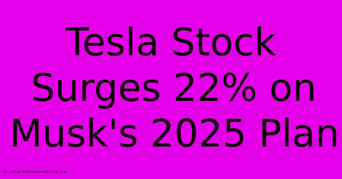 Tesla Stock Surges 22% On Musk's 2025 Plan