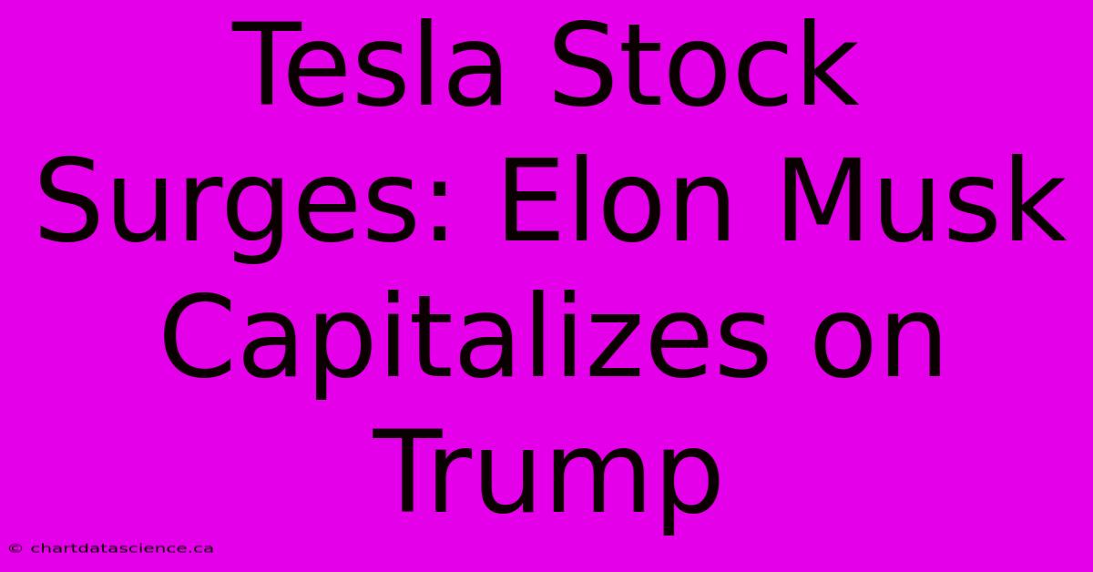 Tesla Stock Surges: Elon Musk Capitalizes On Trump