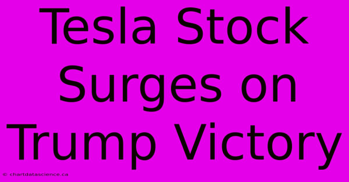 Tesla Stock Surges On Trump Victory 