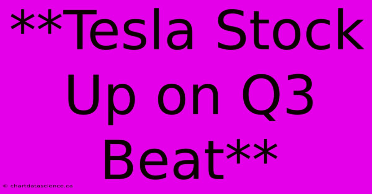 **Tesla Stock Up On Q3 Beat**